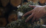 Bing Dao Pu-Erh Ball (Raw)