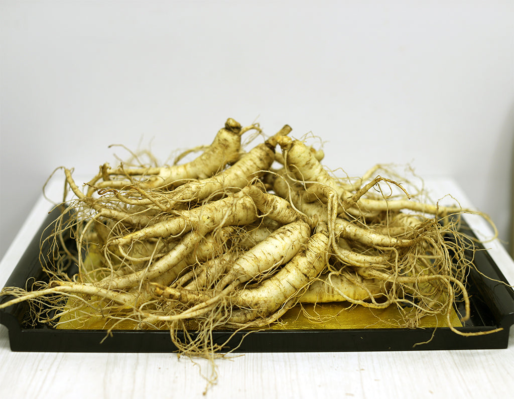 Fresh American Ginseng Arrived