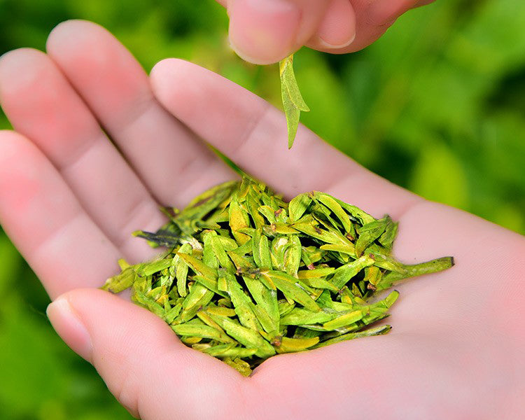 Our 2020 Spring Long-Jing (Dragon Well) has arrived!